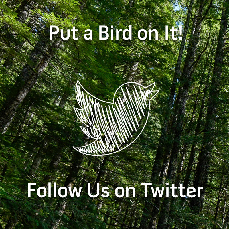 Follow Us on Twitter