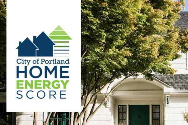 Stories from the Field: Using the Home Energy Score to Influence Real Estate