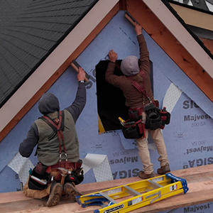 Sustainable Homes Professional (SHP)