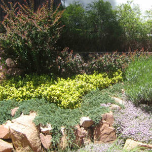 Water Wise for Homes and Landscapes (Parts I & II)